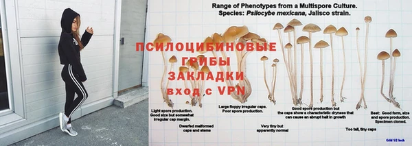 МДПВ Медногорск
