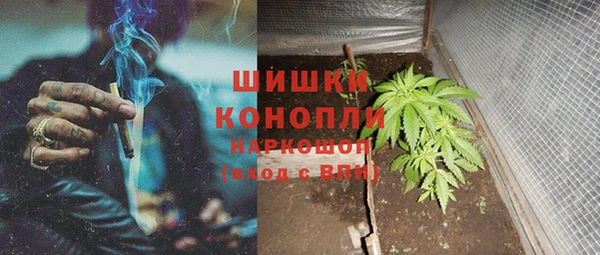 эйфоретик Магас